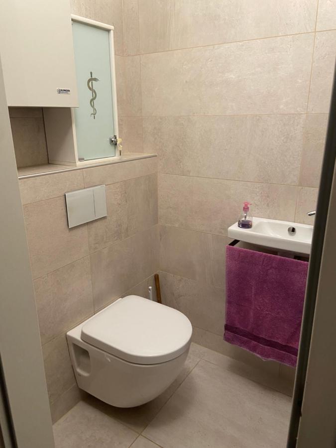 Anton Bruckner Lounge L Free Parking Apartment Линц Екстериор снимка